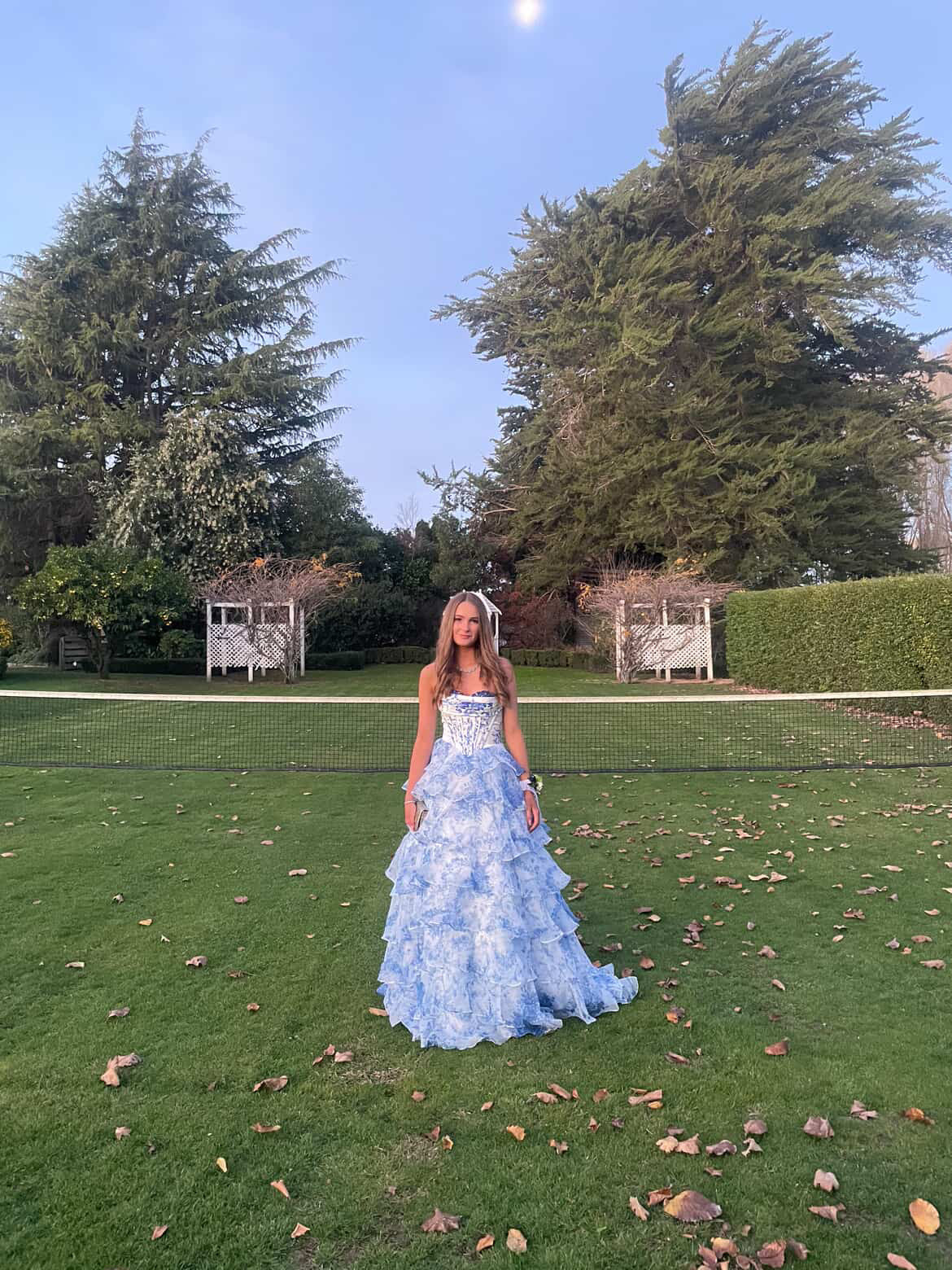 Organza ball gown