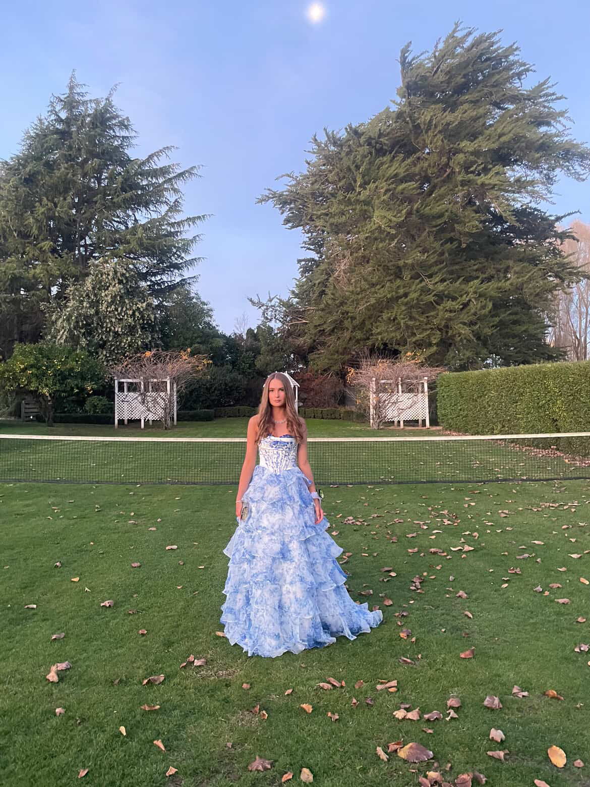 Organza ball gown